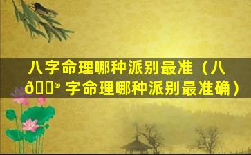 八字命理哪种派别最准（八 💮 字命理哪种派别最准确）